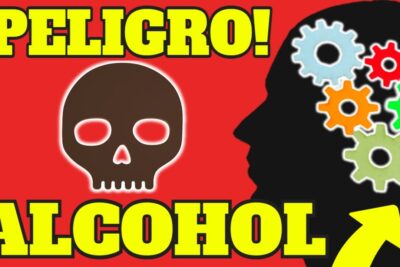 vino y cerveza que le sucede a tu cuerpo al consumir alcohol