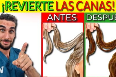 vitamina y minerales contra canas revierta el gris